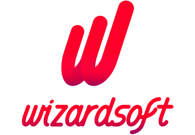 wizardsoft.ru